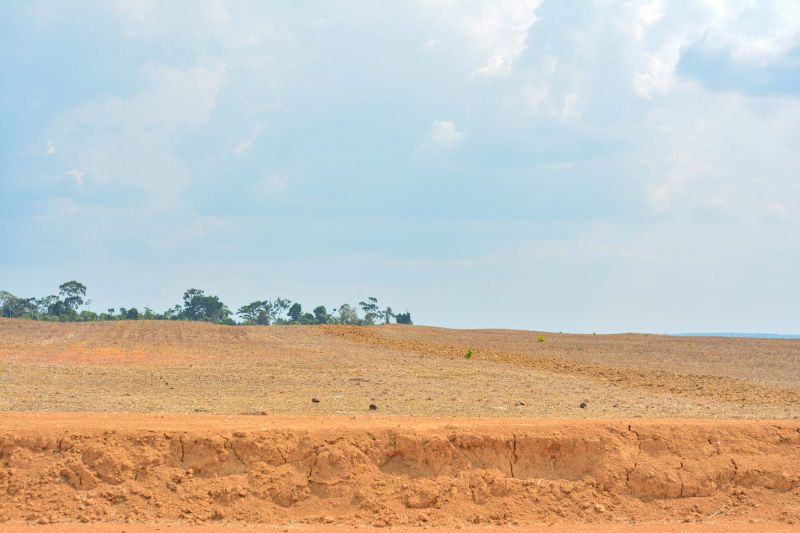  <div class='credito_fotos'>Foto: Divulgação / Ag. Pará &nbsp;&nbsp;|&nbsp;&nbsp; <a href='/midias/2024/originais/18099_622355f8-6aff-8717-3867-de9efc63fde0.jpg' download><i class='fa-solid fa-download'></i> Download</a></div>