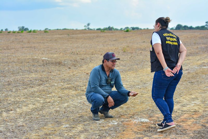  <div class='credito_fotos'>Foto: Divulgação / Ag. Pará &nbsp;&nbsp;|&nbsp;&nbsp; <a href='/midias/2024/originais/18099_6302c3ae-7458-c68f-a6e2-7d9e01d9c81e.jpg' download><i class='fa-solid fa-download'></i> Download</a></div>