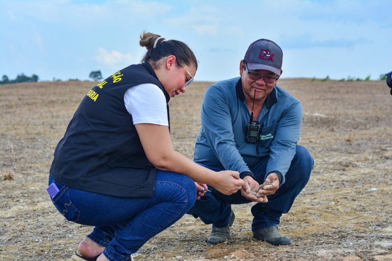 <div class='credito_fotos'>Foto: Divulgação / Ag. Pará &nbsp;&nbsp;|&nbsp;&nbsp; <a href='/midias/2024/originais/18099_75d9431e-194a-89fa-6e48-38b5bf04073c.jpg' download><i class='fa-solid fa-download'></i> Download</a></div>