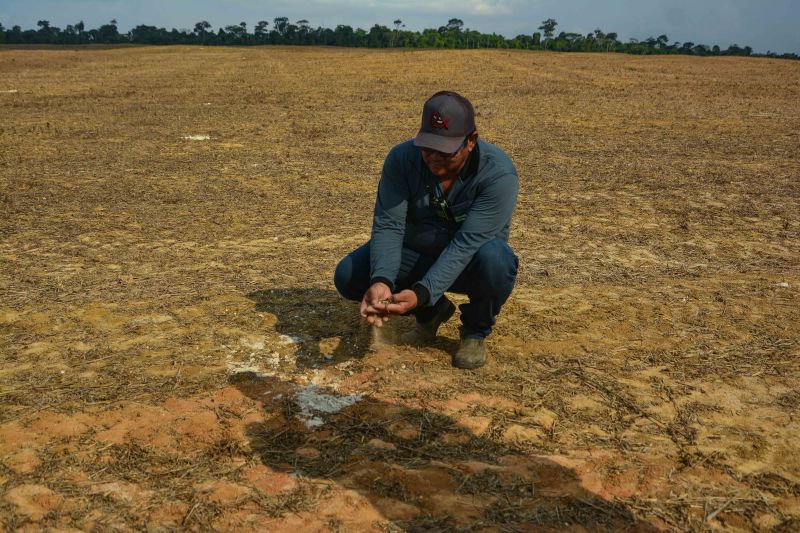  <div class='credito_fotos'>Foto: Divulgação / Ag. Pará &nbsp;&nbsp;|&nbsp;&nbsp; <a href='/midias/2024/originais/18099_96160f16-1326-6cf7-ae89-e46b442db0bb.jpg' download><i class='fa-solid fa-download'></i> Download</a></div>