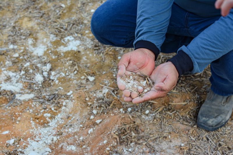  <div class='credito_fotos'>Foto: Divulgação / Ag. Pará &nbsp;&nbsp;|&nbsp;&nbsp; <a href='/midias/2024/originais/18099_aabc5e9e-d788-314b-ac5c-ce82c8ea8cff.jpg' download><i class='fa-solid fa-download'></i> Download</a></div>