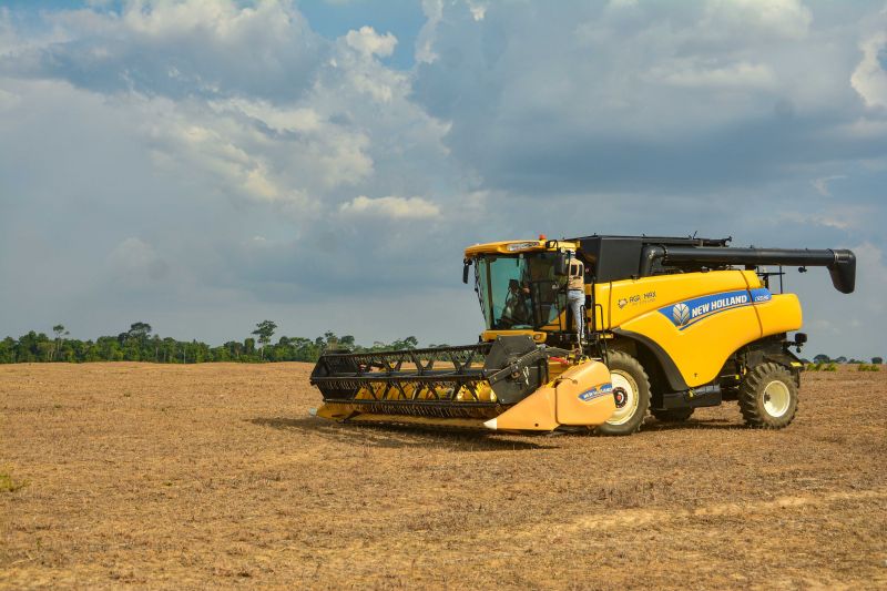  <div class='credito_fotos'>Foto: Divulgação / Ag. Pará &nbsp;&nbsp;|&nbsp;&nbsp; <a href='/midias/2024/originais/18099_b25ff040-16ee-4a7d-59ed-619d49d8c6e7.jpg' download><i class='fa-solid fa-download'></i> Download</a></div>