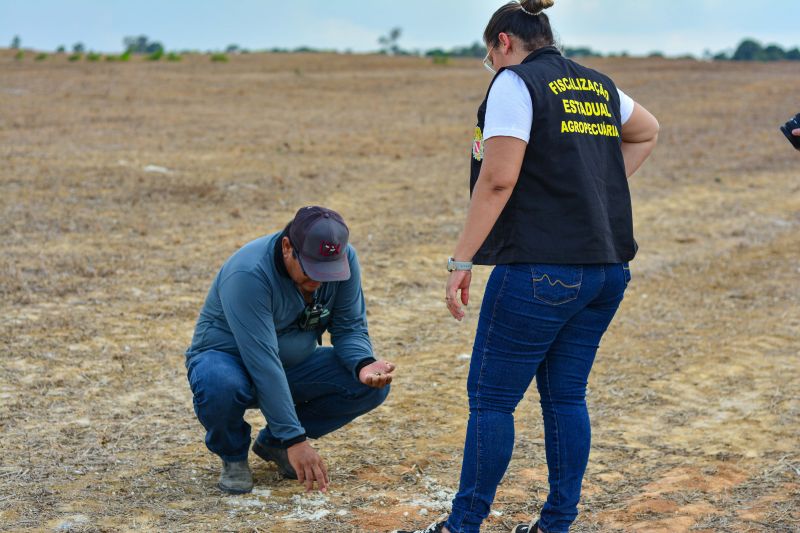  <div class='credito_fotos'>Foto: Divulgação / Ag. Pará &nbsp;&nbsp;|&nbsp;&nbsp; <a href='/midias/2024/originais/18099_d014effd-3f0a-daa3-700a-8af04d95c67b.jpg' download><i class='fa-solid fa-download'></i> Download</a></div>