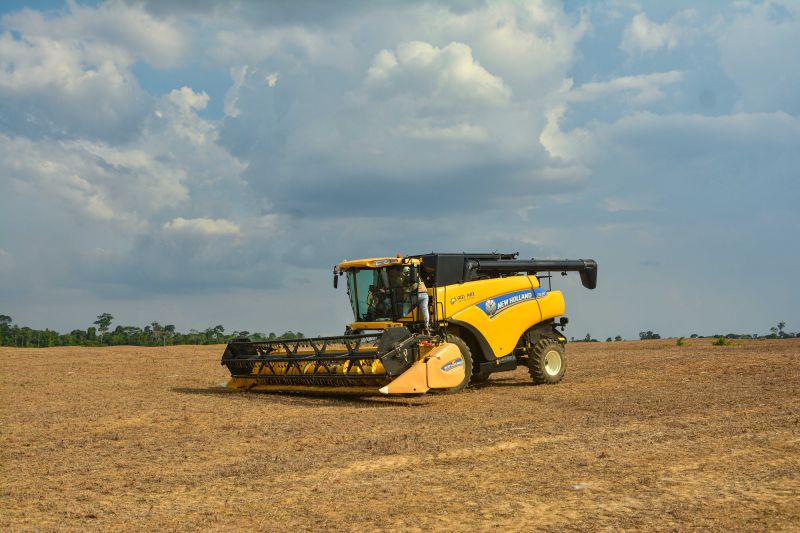  <div class='credito_fotos'>Foto: Divulgação / Ag. Pará &nbsp;&nbsp;|&nbsp;&nbsp; <a href='/midias/2024/originais/18099_e4e02b7b-a1b5-4200-3d4e-3c988b48bfd5.jpg' download><i class='fa-solid fa-download'></i> Download</a></div>