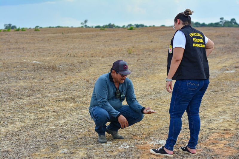  <div class='credito_fotos'>Foto: Divulgação / Ag. Pará &nbsp;&nbsp;|&nbsp;&nbsp; <a href='/midias/2024/originais/18099_e7f8eb58-5b88-c2d9-061a-ac50d44dcf58.jpg' download><i class='fa-solid fa-download'></i> Download</a></div>