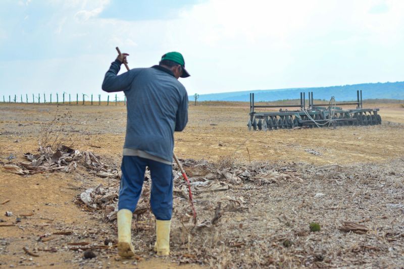  <div class='credito_fotos'>Foto: Divulgação / Ag. Pará &nbsp;&nbsp;|&nbsp;&nbsp; <a href='/midias/2024/originais/18099_f46c8244-4899-b36e-865d-83be5bffd87f.jpg' download><i class='fa-solid fa-download'></i> Download</a></div>