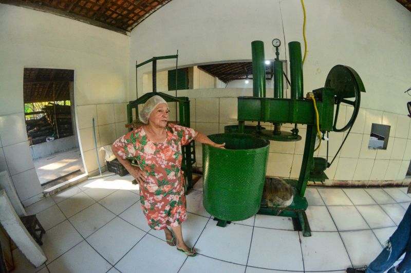  <div class='credito_fotos'>Foto: Divulgação / Ag. Pará &nbsp;&nbsp;|&nbsp;&nbsp; <a href='/midias/2024/originais/18101_5c16345d-6c70-69b2-99c5-5f9699e331ee.jpg' download><i class='fa-solid fa-download'></i> Download</a></div>