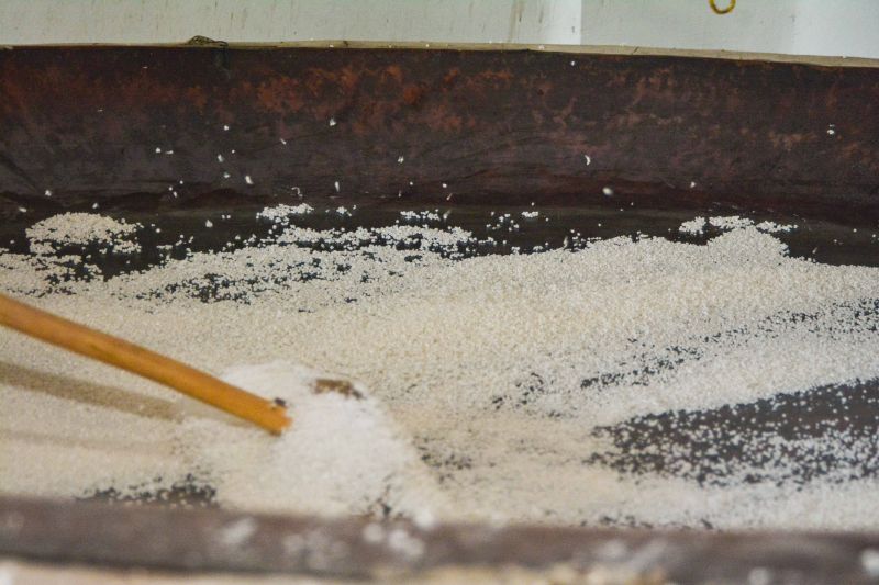  <div class='credito_fotos'>Foto: Divulgação / Ag. Pará &nbsp;&nbsp;|&nbsp;&nbsp; <a href='/midias/2024/originais/18101_79292ade-e72a-5f0d-cf32-1ead86124559.jpg' download><i class='fa-solid fa-download'></i> Download</a></div>