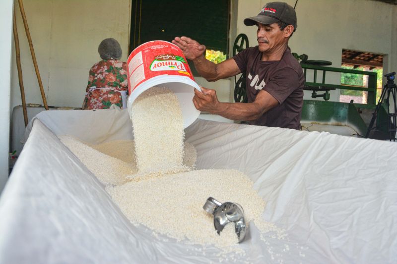  <div class='credito_fotos'>Foto: Divulgação / Ag. Pará &nbsp;&nbsp;|&nbsp;&nbsp; <a href='/midias/2024/originais/18101_7d1ff732-c2da-110f-e81f-f45776af16c6.jpg' download><i class='fa-solid fa-download'></i> Download</a></div>