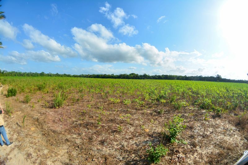  <div class='credito_fotos'>Foto: Divulgação / Ag. Pará &nbsp;&nbsp;|&nbsp;&nbsp; <a href='/midias/2024/originais/18101_87c9907a-7318-24d8-2632-7f7605c2cf4f.jpg' download><i class='fa-solid fa-download'></i> Download</a></div>