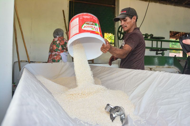  <div class='credito_fotos'>Foto: Divulgação / Ag. Pará &nbsp;&nbsp;|&nbsp;&nbsp; <a href='/midias/2024/originais/18101_897d4a84-56bd-0480-d0c8-21a81de0385b.jpg' download><i class='fa-solid fa-download'></i> Download</a></div>