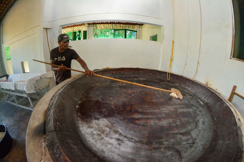  <div class='credito_fotos'>Foto: Divulgação / Ag. Pará &nbsp;&nbsp;|&nbsp;&nbsp; <a href='/midias/2024/originais/18101_91bf0285-bb70-1631-5e5d-4f0f904b285a.jpg' download><i class='fa-solid fa-download'></i> Download</a></div>