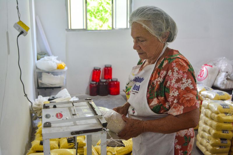  <div class='credito_fotos'>Foto: Divulgação / Ag. Pará &nbsp;&nbsp;|&nbsp;&nbsp; <a href='/midias/2024/originais/18101_b0cab299-ea74-9790-a814-02fc43b413ad.jpg' download><i class='fa-solid fa-download'></i> Download</a></div>