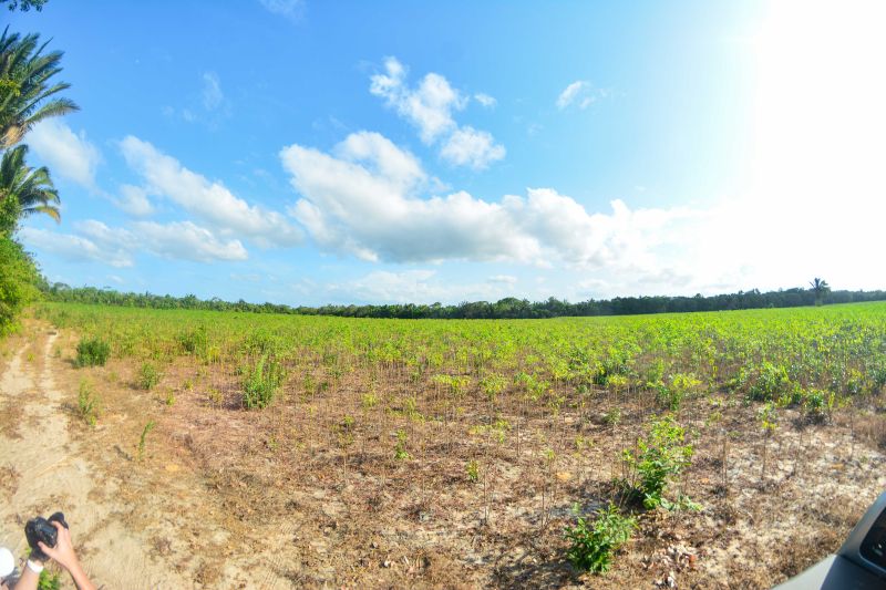  <div class='credito_fotos'>Foto: Divulgação / Ag. Pará &nbsp;&nbsp;|&nbsp;&nbsp; <a href='/midias/2024/originais/18101_ef1b7288-9665-719c-64f2-ccd549bda3ab.jpg' download><i class='fa-solid fa-download'></i> Download</a></div>