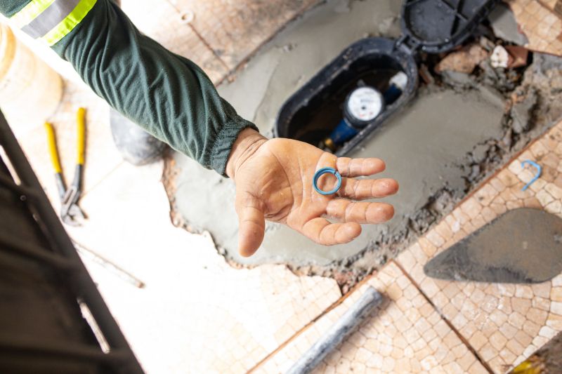  <div class='credito_fotos'>Foto: Divulgação / Ag. Pará &nbsp;&nbsp;|&nbsp;&nbsp; <a href='/midias/2024/originais/18156_1e1e59fc-0076-d0a1-c864-51f00d7bea86.jpg' download><i class='fa-solid fa-download'></i> Download</a></div>