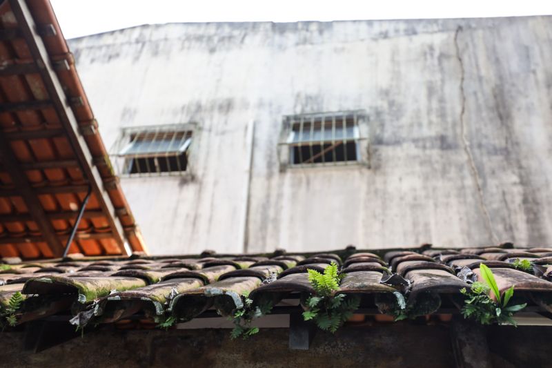  <div class='credito_fotos'>Foto: Pedro Guerreiro / Ag. Pará &nbsp;&nbsp;|&nbsp;&nbsp; <a href='/midias/2024/originais/18174_01fece0b-4036-1f9a-e14c-875361489210.jpg' download><i class='fa-solid fa-download'></i> Download</a></div>