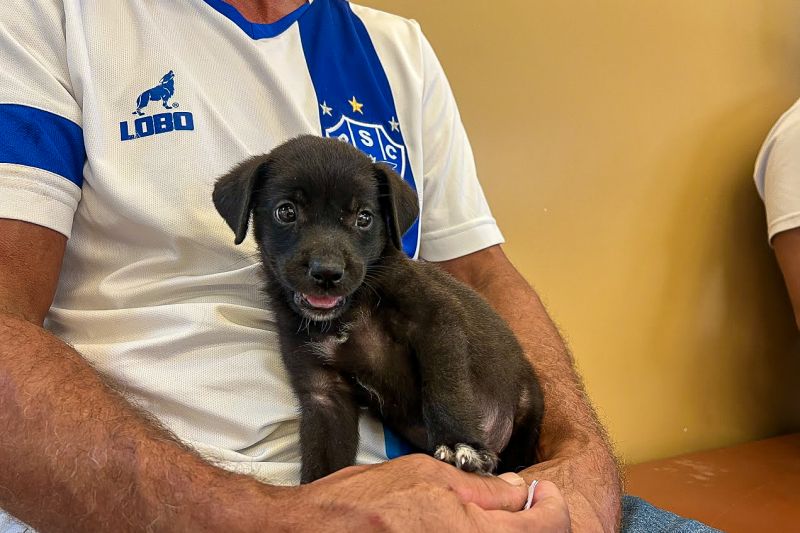  <div class='credito_fotos'>Foto: Lucas Dias / Nucom Seac &nbsp;&nbsp;|&nbsp;&nbsp; <a href='/midias/2024/originais/18194_1eb2c4f6-dbf0-6b4f-bffd-cb1098d03147.jpg' download><i class='fa-solid fa-download'></i> Download</a></div>