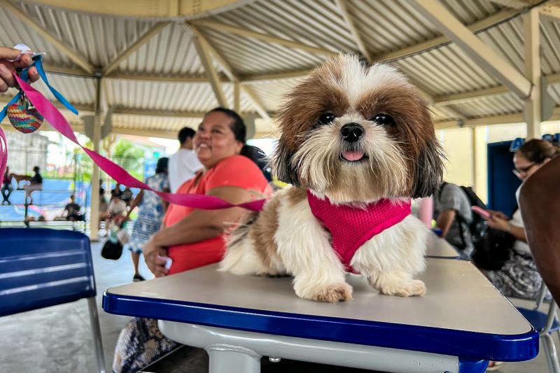  <div class='credito_fotos'>Foto: Lucas Dias / Nucom Seac &nbsp;&nbsp;|&nbsp;&nbsp; <a href='/midias/2024/originais/18194_68b61a4c-084d-a57d-c036-a419b9dd68a5.jpg' download><i class='fa-solid fa-download'></i> Download</a></div>