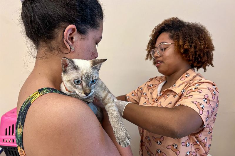  <div class='credito_fotos'>Foto: Lucas Dias / Nucom Seac &nbsp;&nbsp;|&nbsp;&nbsp; <a href='/midias/2024/originais/18194_fda98137-0b87-dc83-e781-a5ece7e0a8a9.jpg' download><i class='fa-solid fa-download'></i> Download</a></div>