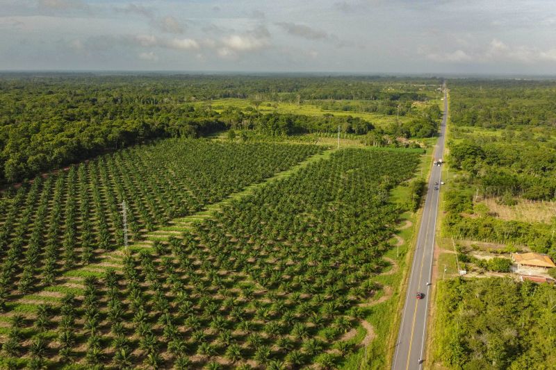 DCIM\101MEDIA\DJI_0016.JPG <div class='credito_fotos'>Foto: Augusto Miranda / Ag. Pará &nbsp;&nbsp;|&nbsp;&nbsp; <a href='/midias/2024/originais/18203_aa027fb2-b641-8564-7506-2b2e2250a191.jpg' download><i class='fa-solid fa-download'></i> Download</a></div>