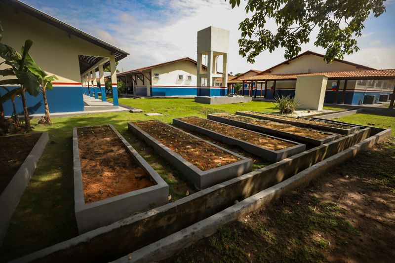  <div class='credito_fotos'>Foto: Bruno Cecim / Ag.Pará &nbsp;&nbsp;|&nbsp;&nbsp; <a href='/midias/2024/originais/18219_264573c6-8922-e845-834f-de2d89b78557.jpg' download><i class='fa-solid fa-download'></i> Download</a></div>