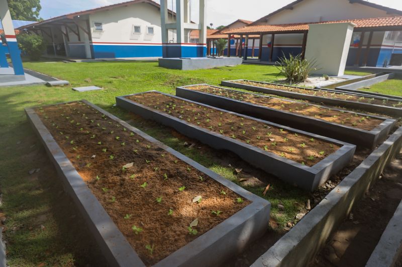  <div class='credito_fotos'>Foto: Bruno Cecim / Ag.Pará &nbsp;&nbsp;|&nbsp;&nbsp; <a href='/midias/2024/originais/18219_2d076cbc-f110-bd6f-0004-8c413eddf0e2.jpg' download><i class='fa-solid fa-download'></i> Download</a></div>