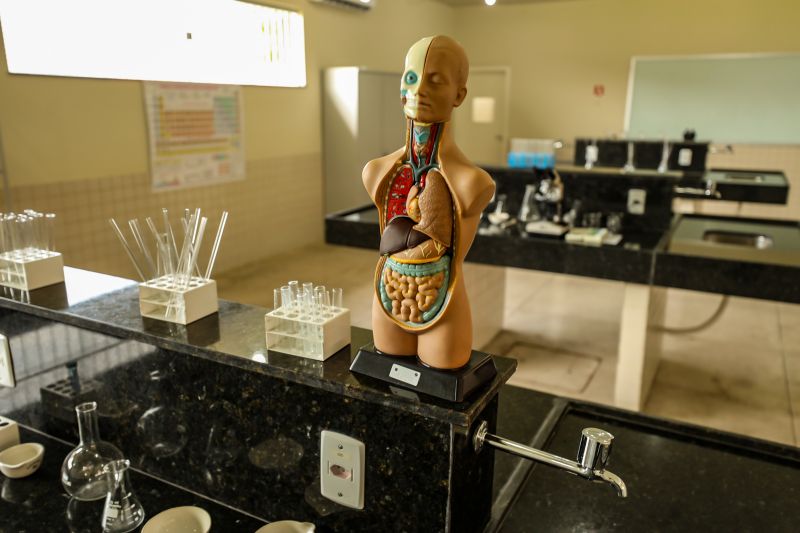  <div class='credito_fotos'>Foto: Bruno Cecim / Ag.Pará &nbsp;&nbsp;|&nbsp;&nbsp; <a href='/midias/2024/originais/18219_6201efc0-ac8b-978a-339b-512f9f931414.jpg' download><i class='fa-solid fa-download'></i> Download</a></div>