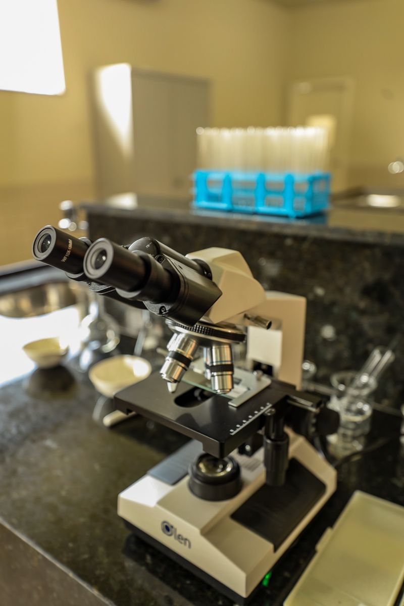  <div class='credito_fotos'>Foto: Bruno Cecim / Ag.Pará &nbsp;&nbsp;|&nbsp;&nbsp; <a href='/midias/2024/originais/18219_78699b65-0fb9-ab18-1f28-adbdd00bc852.jpg' download><i class='fa-solid fa-download'></i> Download</a></div>