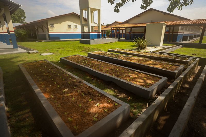  <div class='credito_fotos'>Foto: Bruno Cecim / Ag.Pará &nbsp;&nbsp;|&nbsp;&nbsp; <a href='/midias/2024/originais/18219_edc8e99b-93a6-bae0-eb30-d70fbf895d3c.jpg' download><i class='fa-solid fa-download'></i> Download</a></div>