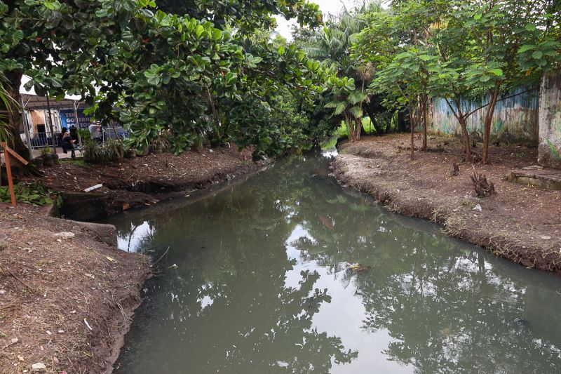  <div class='credito_fotos'>Foto: Alex Ribeiro / Ag. Pará &nbsp;&nbsp;|&nbsp;&nbsp; <a href='/midias/2024/originais/18233_1964973e-0672-111d-6281-fbdc19b79137.jpg' download><i class='fa-solid fa-download'></i> Download</a></div>