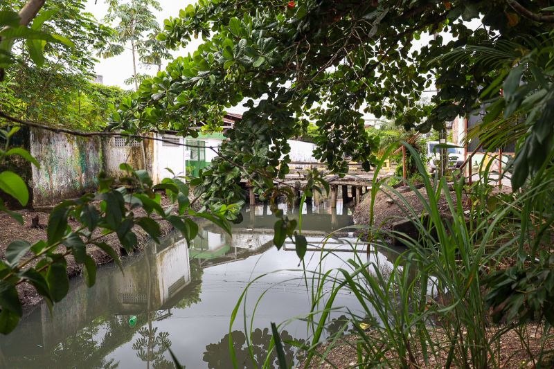  <div class='credito_fotos'>Foto: Alex Ribeiro / Ag. Pará &nbsp;&nbsp;|&nbsp;&nbsp; <a href='/midias/2024/originais/18233_63e60220-8df7-400e-0eb8-d2cd50ba2e63.jpg' download><i class='fa-solid fa-download'></i> Download</a></div>