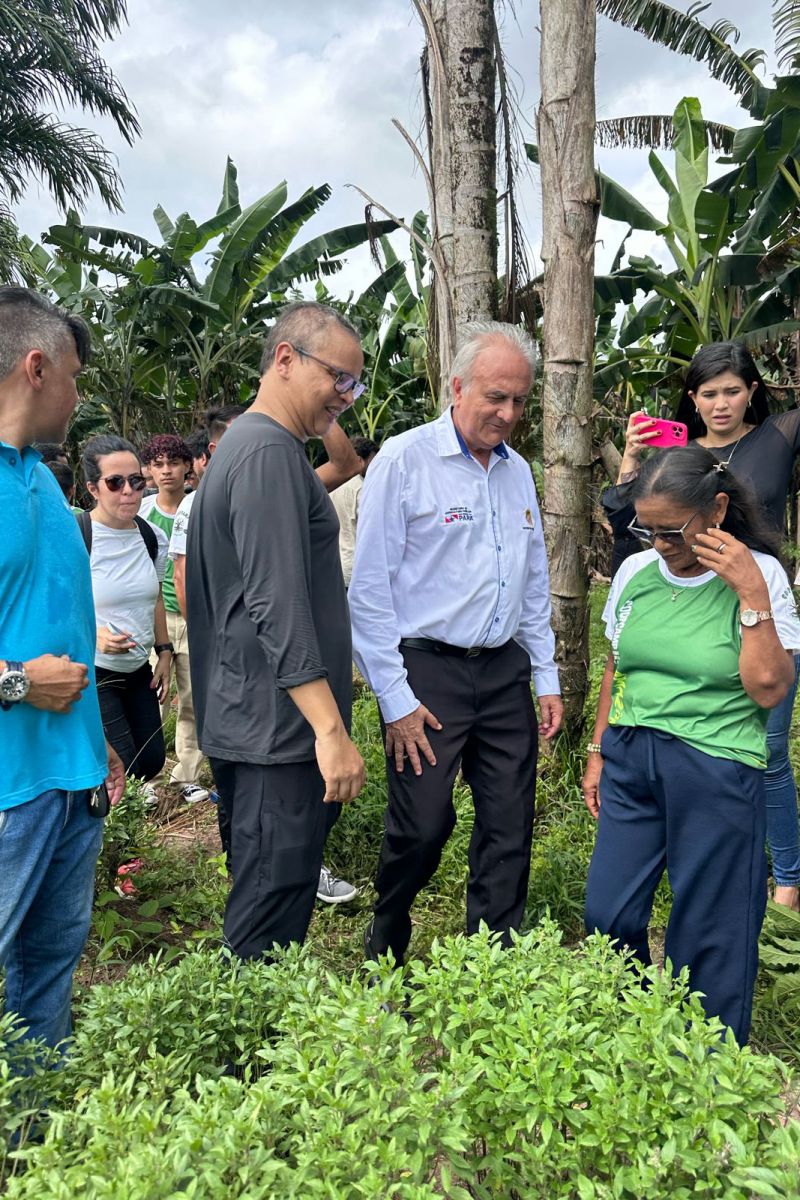  <div class='credito_fotos'>Foto: Divulgação / Ag. Pará &nbsp;&nbsp;|&nbsp;&nbsp; <a href='/midias/2024/originais/18246_f7279139-1585-c715-ee0d-7d9d586e44af.jpg' download><i class='fa-solid fa-download'></i> Download</a></div>