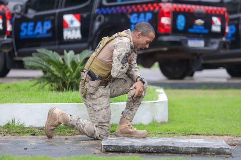  <div class='credito_fotos'>Foto: Pedro Guerreiro / Ag. Pará &nbsp;&nbsp;|&nbsp;&nbsp; <a href='/midias/2024/originais/18249_3ae4bb56-18e3-b17a-69ea-adde697816de.jpg' download><i class='fa-solid fa-download'></i> Download</a></div>