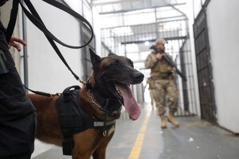  <div class='credito_fotos'>Foto: Pedro Guerreiro / Ag. Pará &nbsp;&nbsp;|&nbsp;&nbsp; <a href='/midias/2024/originais/18249_71caf247-0e57-d9ab-fb9d-b688069dbe84.jpg' download><i class='fa-solid fa-download'></i> Download</a></div>