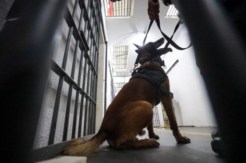  <div class='credito_fotos'>Foto: Pedro Guerreiro / Ag. Pará &nbsp;&nbsp;|&nbsp;&nbsp; <a href='/midias/2024/originais/18249_e8ce0521-9984-80f7-f76f-397e04ec863e.jpg' download><i class='fa-solid fa-download'></i> Download</a></div>