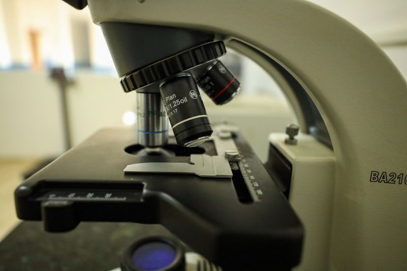  <div class='credito_fotos'>Foto: Marcelo Lelis / Ag. Pará &nbsp;&nbsp;|&nbsp;&nbsp; <a href='/midias/2024/originais/18255_183fdf41-c244-860d-0e31-643ff37ca14a.jpg' download><i class='fa-solid fa-download'></i> Download</a></div>