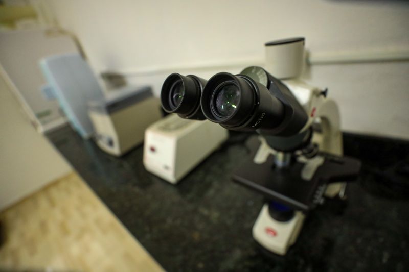  <div class='credito_fotos'>Foto: Marcelo Lelis / Ag. Pará &nbsp;&nbsp;|&nbsp;&nbsp; <a href='/midias/2024/originais/18255_1d2c1c3d-b97e-5c86-962f-c95fc2b22c29.jpg' download><i class='fa-solid fa-download'></i> Download</a></div>