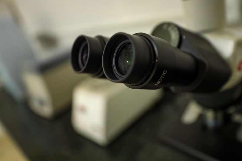  <div class='credito_fotos'>Foto: Marcelo Lelis / Ag. Pará &nbsp;&nbsp;|&nbsp;&nbsp; <a href='/midias/2024/originais/18255_32ae3a93-0c1f-cd0d-2511-e057a5304345.jpg' download><i class='fa-solid fa-download'></i> Download</a></div>