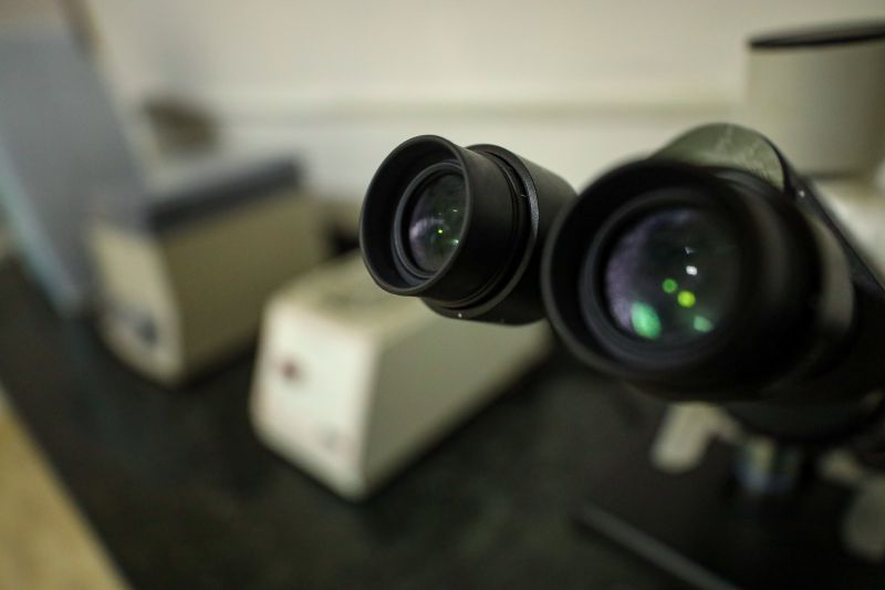  <div class='credito_fotos'>Foto: Marcelo Lelis / Ag. Pará &nbsp;&nbsp;|&nbsp;&nbsp; <a href='/midias/2024/originais/18255_6fae0445-fe60-8a9c-de18-21242fb4ca7a.jpg' download><i class='fa-solid fa-download'></i> Download</a></div>