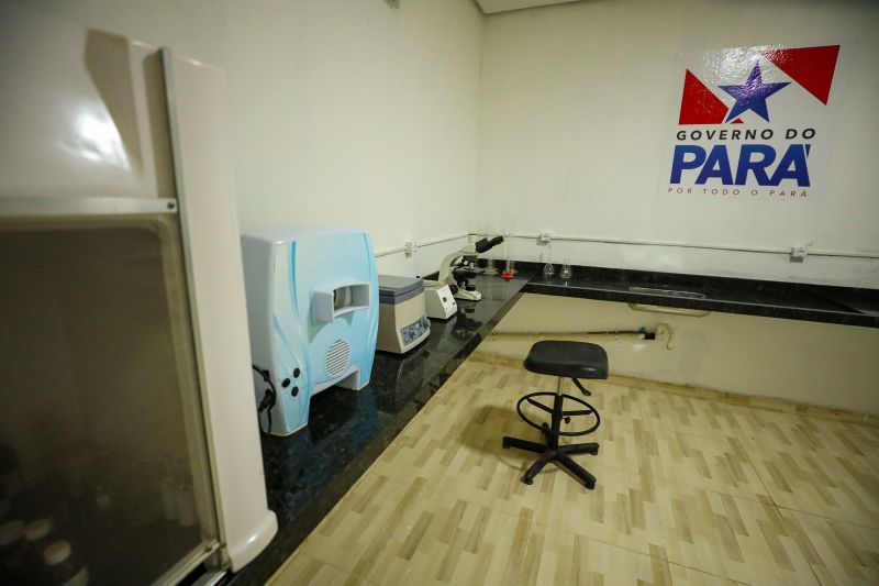  <div class='credito_fotos'>Foto: Marcelo Lelis / Ag. Pará &nbsp;&nbsp;|&nbsp;&nbsp; <a href='/midias/2024/originais/18255_cc8250bd-276d-9db3-c5da-0666f39b8ddd.jpg' download><i class='fa-solid fa-download'></i> Download</a></div>