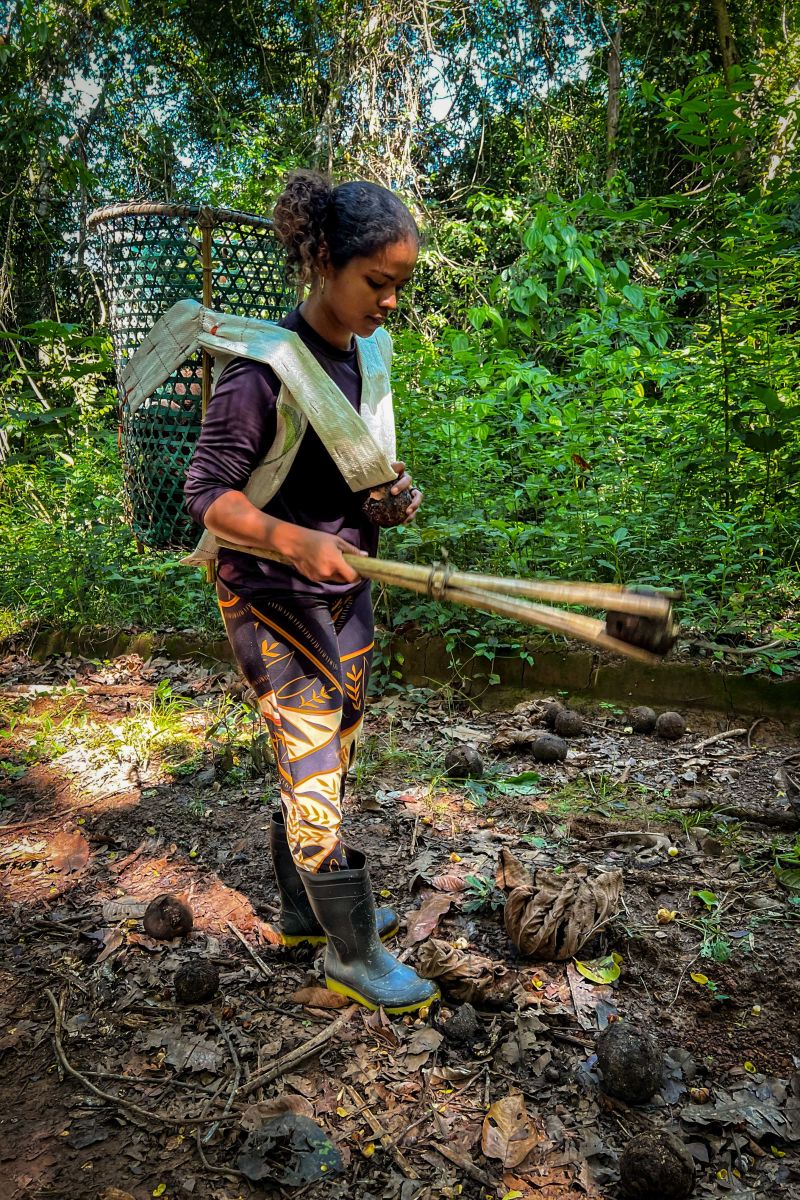 fotos: João Vitor Santos (Ascom/Ideflor-Bio) <div class='credito_fotos'>Foto: João Vitor Santos / Ascom Ideflor-Bio &nbsp;&nbsp;|&nbsp;&nbsp; <a href='/midias/2024/originais/18263_c4be1a51-11e3-5015-f122-4dd930fd4c6f.jpg' download><i class='fa-solid fa-download'></i> Download</a></div>