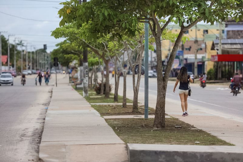  <div class='credito_fotos'>Foto: Bruno Cecim / Ag.Pará &nbsp;&nbsp;|&nbsp;&nbsp; <a href='/midias/2024/originais/18320_8004963d-3c3c-9bc9-c96f-cc899fb6d87c.jpg' download><i class='fa-solid fa-download'></i> Download</a></div>