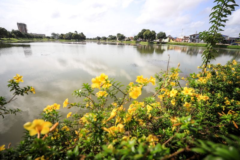  <div class='credito_fotos'>Foto: Marcelo Lelis / Ag. Pará &nbsp;&nbsp;|&nbsp;&nbsp; <a href='/midias/2024/originais/18326_3e390c78-c8e0-ead6-a82a-c4760829cded.jpg' download><i class='fa-solid fa-download'></i> Download</a></div>