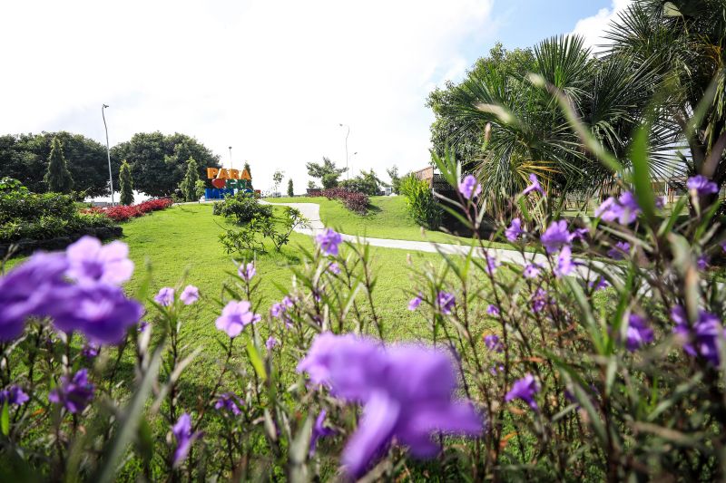  <div class='credito_fotos'>Foto: Marcelo Lelis / Ag. Pará &nbsp;&nbsp;|&nbsp;&nbsp; <a href='/midias/2024/originais/18326_65e282e8-d820-13eb-9351-b463479f8aad.jpg' download><i class='fa-solid fa-download'></i> Download</a></div>