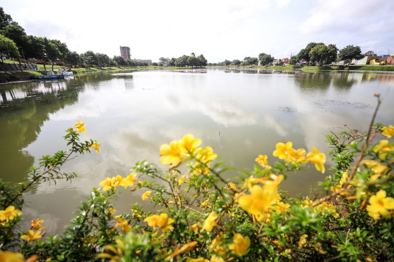  <div class='credito_fotos'>Foto: Marcelo Lelis / Ag. Pará &nbsp;&nbsp;|&nbsp;&nbsp; <a href='/midias/2024/originais/18326_9535a2ea-2f09-9b68-6c0c-0690196df71f.jpg' download><i class='fa-solid fa-download'></i> Download</a></div>