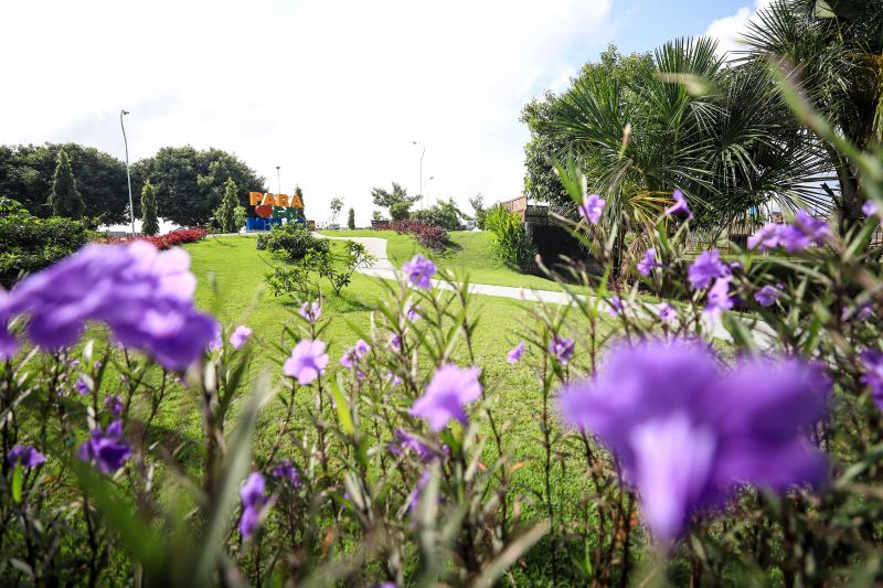  <div class='credito_fotos'>Foto: Marcelo Lelis / Ag. Pará &nbsp;&nbsp;|&nbsp;&nbsp; <a href='/midias/2024/originais/18326_9d351e3a-87fb-3f6b-e5e7-4f40abfa7cb3.jpg' download><i class='fa-solid fa-download'></i> Download</a></div>