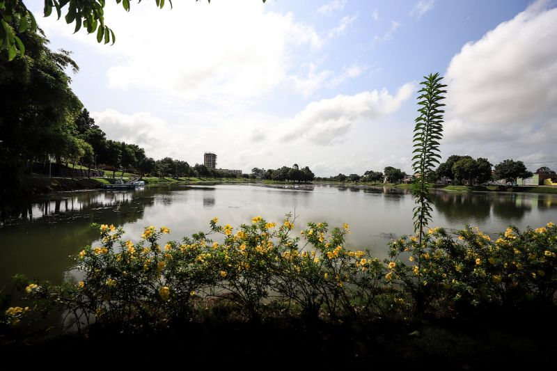  <div class='credito_fotos'>Foto: Marcelo Lelis / Ag. Pará &nbsp;&nbsp;|&nbsp;&nbsp; <a href='/midias/2024/originais/18326_b93f2647-ce6f-d743-3425-6a5c8d68abf7.jpg' download><i class='fa-solid fa-download'></i> Download</a></div>