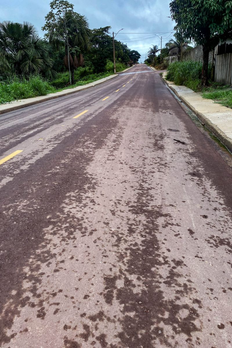  <div class='credito_fotos'>Foto: Rafael Maués / Ag. Pará &nbsp;&nbsp;|&nbsp;&nbsp; <a href='/midias/2024/originais/18349_5459e79f-41be-7c9a-789d-c77b76195f3d.jpg' download><i class='fa-solid fa-download'></i> Download</a></div>