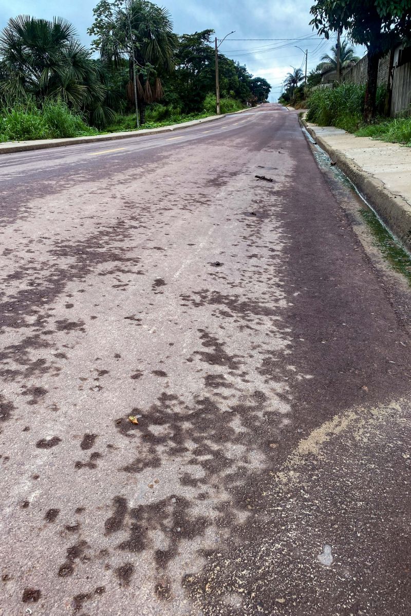  <div class='credito_fotos'>Foto: Rafael Maués / Ag. Pará &nbsp;&nbsp;|&nbsp;&nbsp; <a href='/midias/2024/originais/18349_74f912dc-233c-fbe6-7072-2f127b825dc9.jpg' download><i class='fa-solid fa-download'></i> Download</a></div>