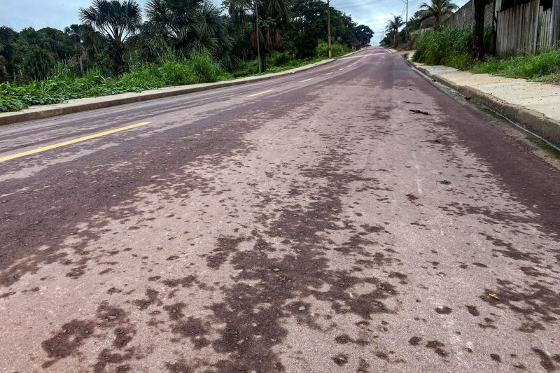  <div class='credito_fotos'>Foto: Rafael Maués / Ag. Pará &nbsp;&nbsp;|&nbsp;&nbsp; <a href='/midias/2024/originais/18349_df0fd812-ce67-f9d0-a883-2ec0afd4c6a6.jpg' download><i class='fa-solid fa-download'></i> Download</a></div>